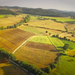 DOT – D’Origine Toscana