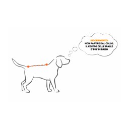 HURTTA | Motion Graphics